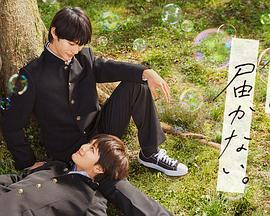 泛页面关键词1487