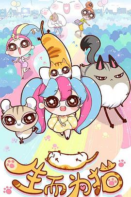 泛页面关键词3684